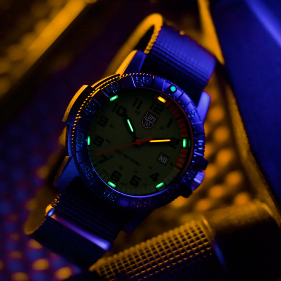 Leatherback SEA Turtle Giant, 44MM - 0337 - Image 5