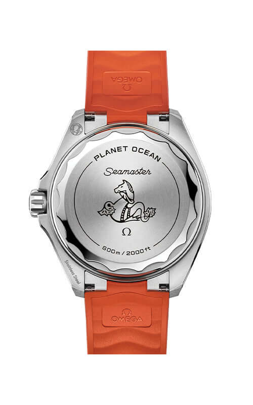 Omega Seamaster Planet Ocean 600M 217.32.42.21.01.004 - Image 2