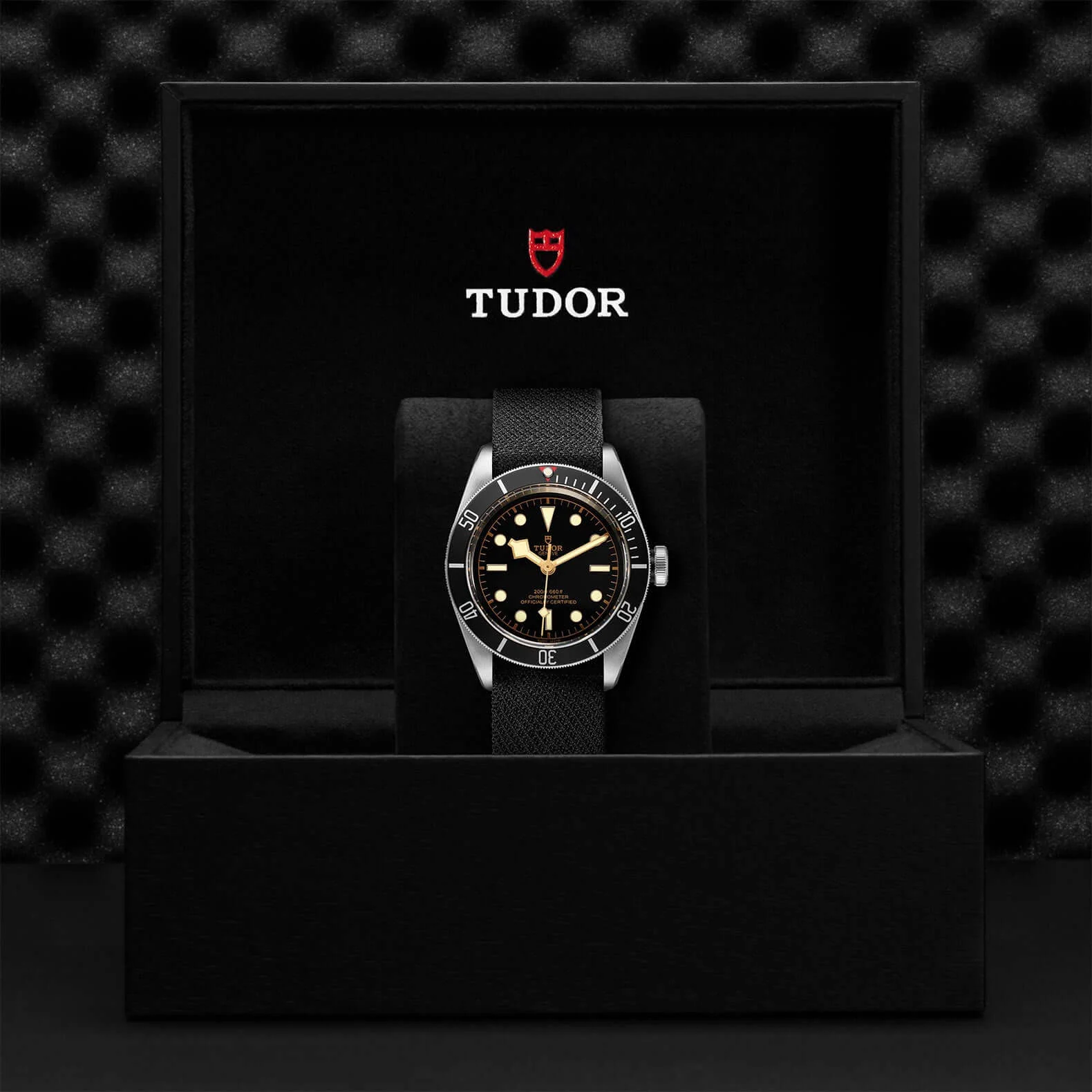 Tudor Black Bay - Image 3