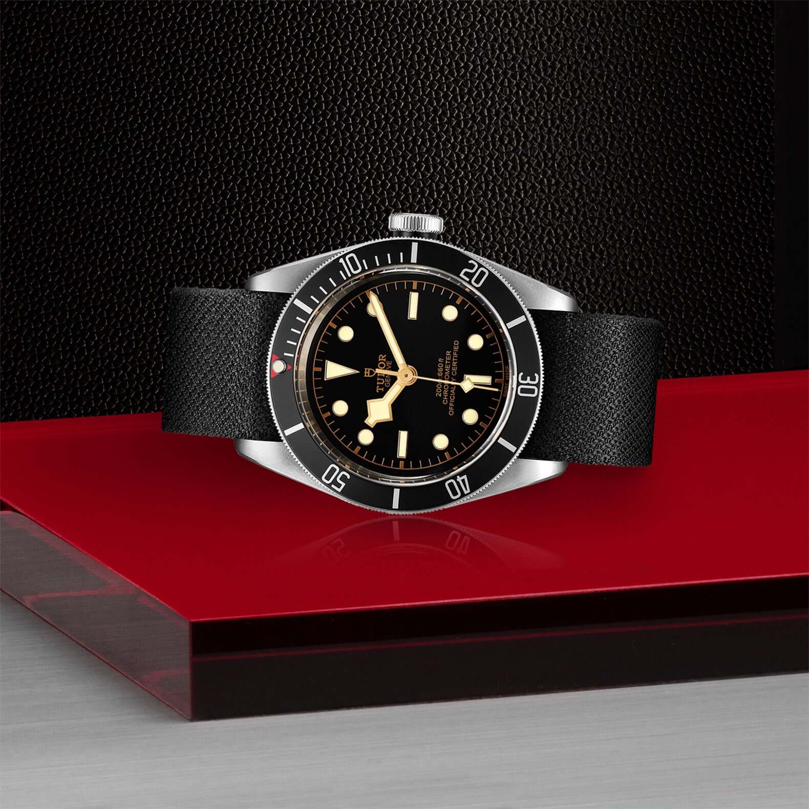 Tudor Black Bay - Image 4