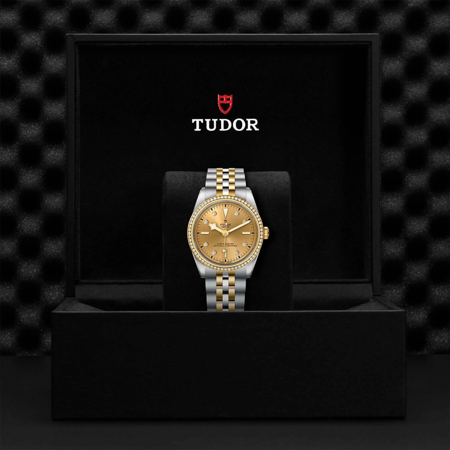 Tudor Black Bay One  36 S&G - Image 4