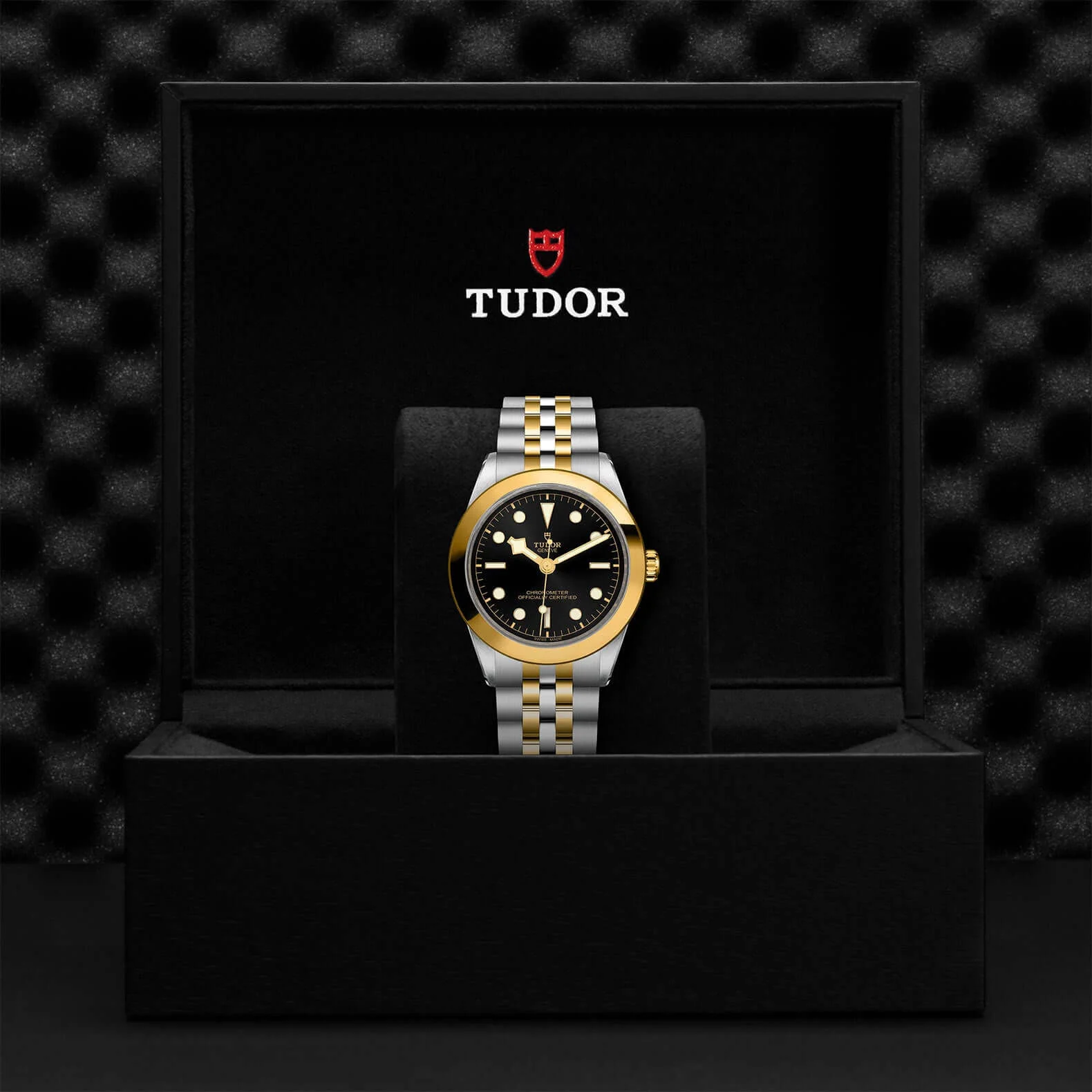 Tudor Black Bay One  39 S&G - Image 3