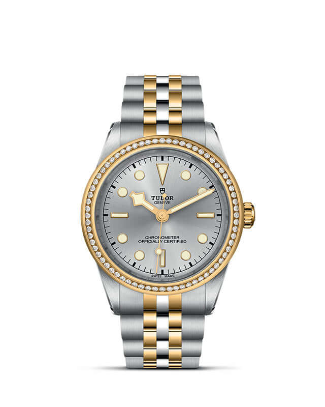 Tudor Black Bay One  39 S&G