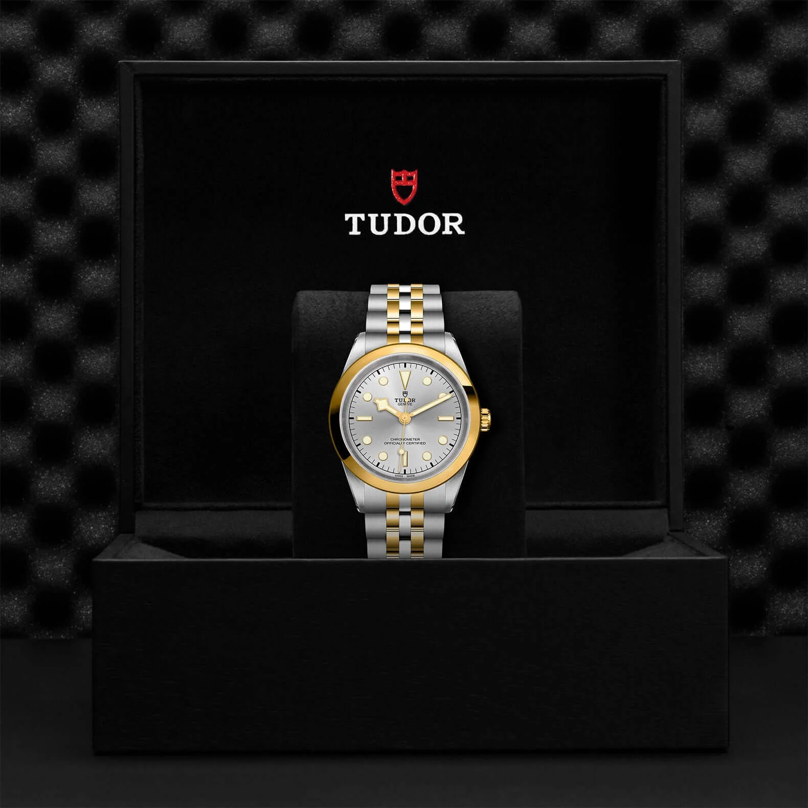 Tudor Black Bay One  41 S&G - Image 3