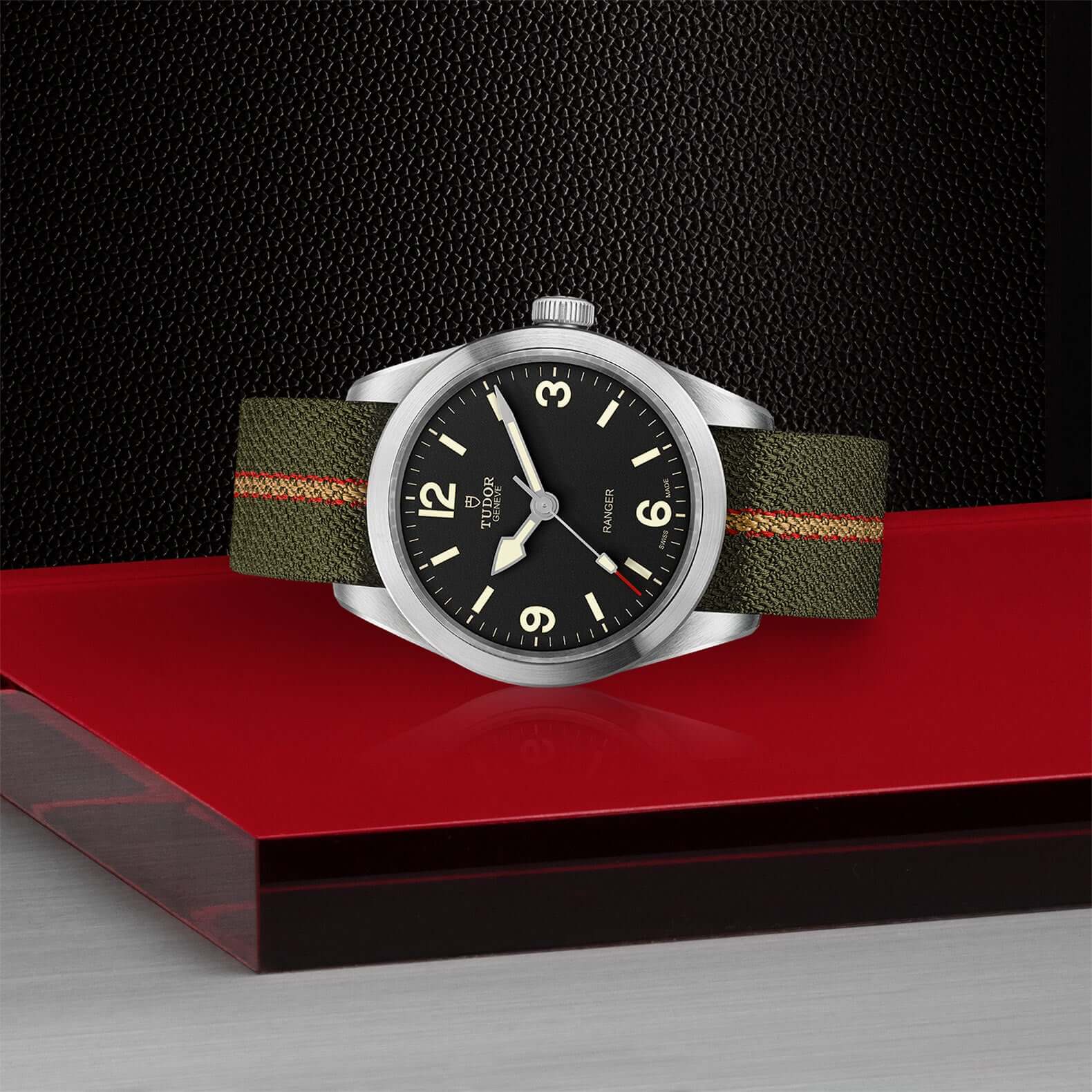 Tudor Ranger - Image 3